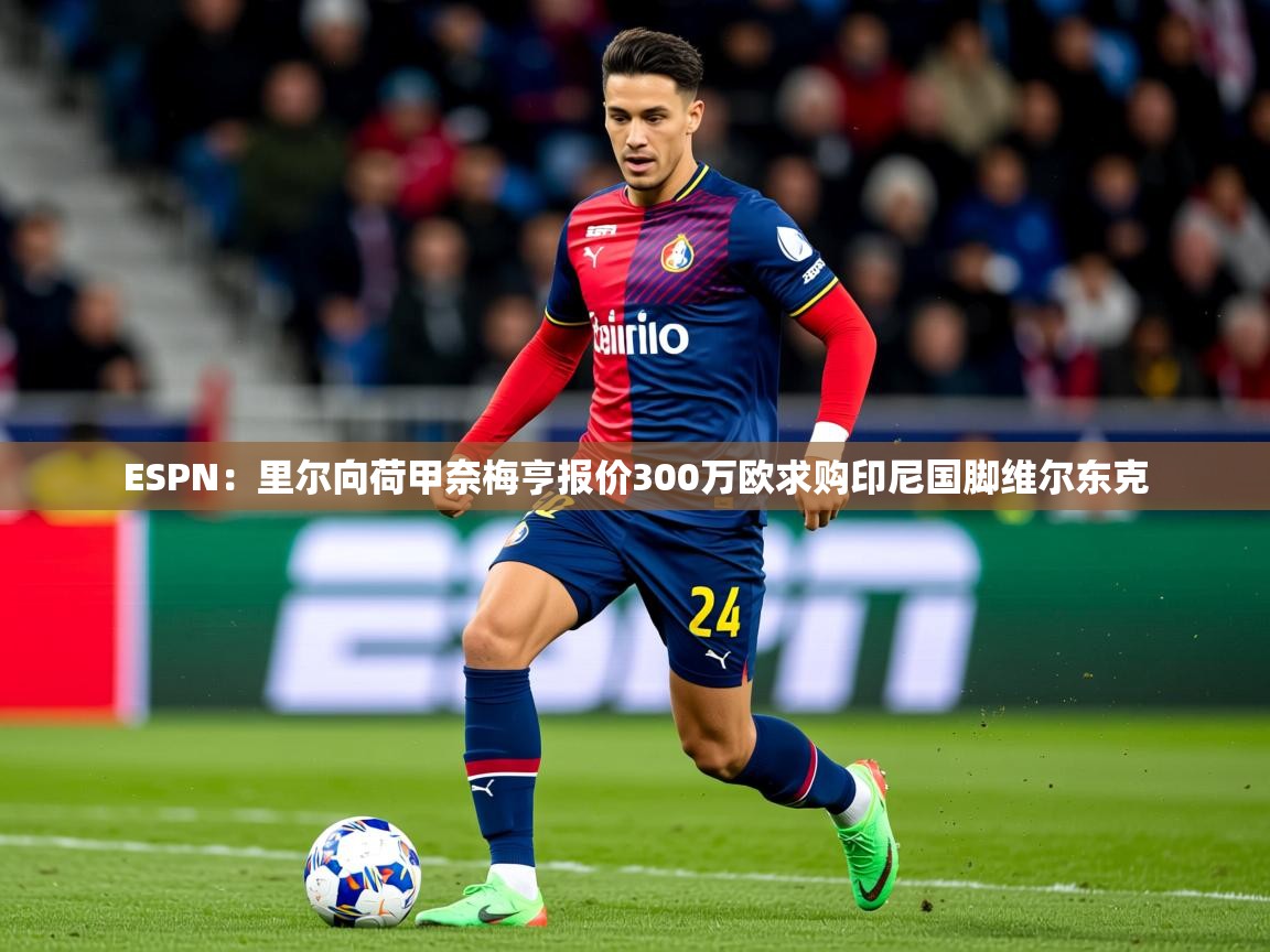 2025开云体育入口注册ESPN：里尔向荷甲奈梅亨报价300万欧求购印尼国脚维尔东克