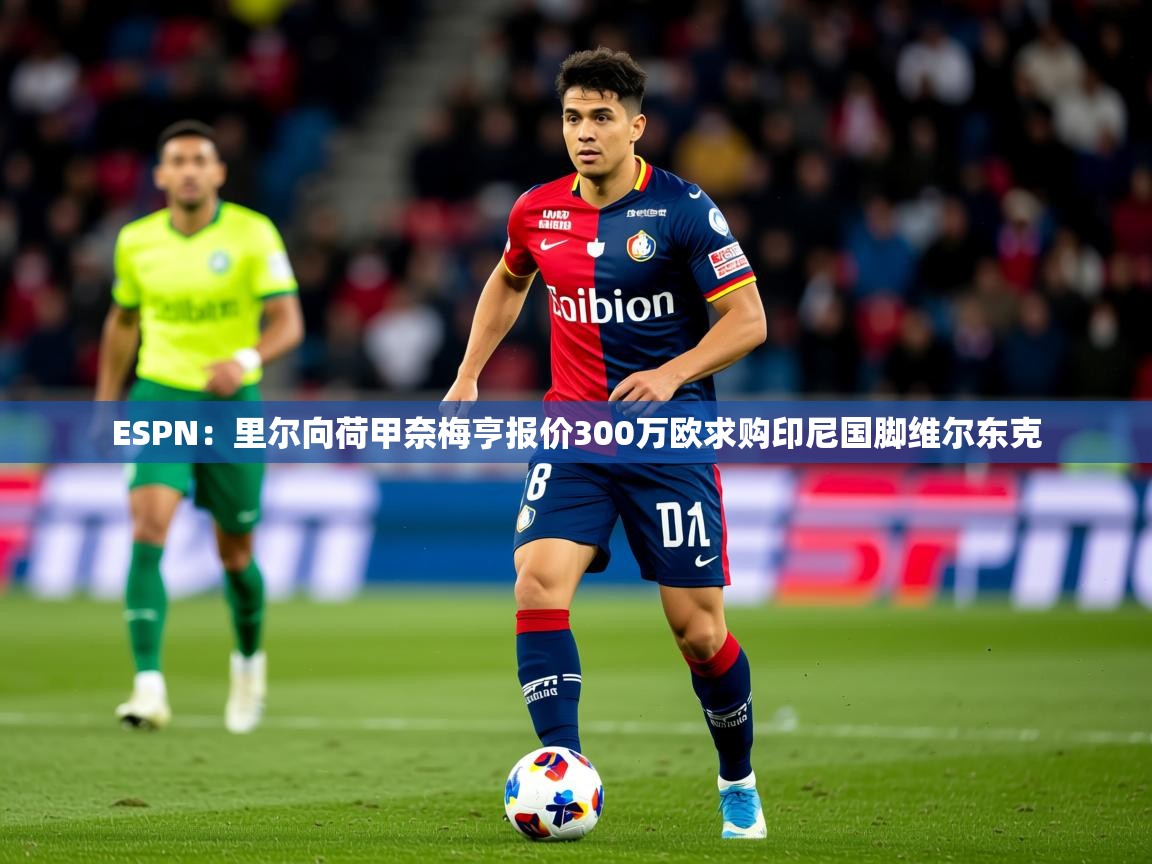 2025开云体育入口注册ESPN：里尔向荷甲奈梅亨报价300万欧求购印尼国脚维尔东克  第2张