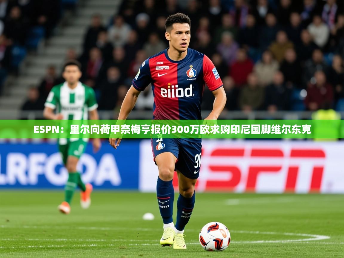 2025开云体育入口注册ESPN：里尔向荷甲奈梅亨报价300万欧求购印尼国脚维尔东克  第4张