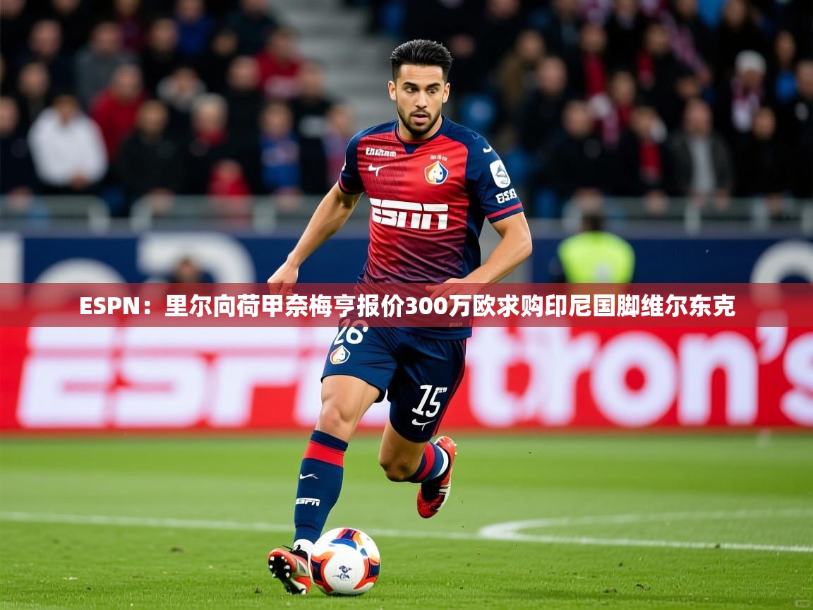2025开云体育入口注册ESPN：里尔向荷甲奈梅亨报价300万欧求购印尼国脚维尔东克  第3张
